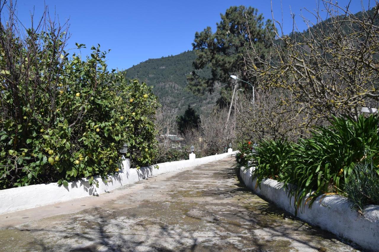 Casa Rural Juli سانتا كروز دي تينيريف المظهر الخارجي الصورة